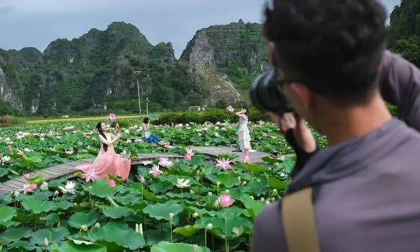 ベトナムの蓮花